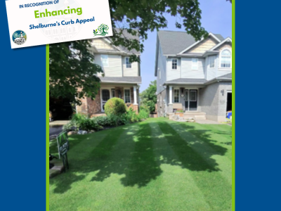 Curb Appeal Winner Golf Course Lawn